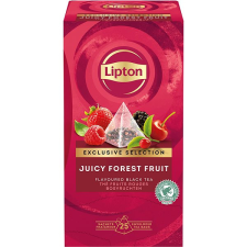 LIPTON Pyramid Forest Fruit 25 × 1,68g tea