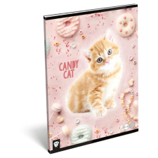 Lizzy Card Vonalas füzet A4 candy cat - pink cicás füzet