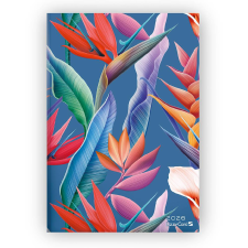 Lizzy Trade Kft. Bizományos Lizzy heti tervező, B5 design, 2026, CALLA LILLY határidőnapló