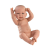 Llorens 73802 New Born Kislány - élethű újszülött játékbaba teljesen vinyl testtel - 40 cm