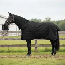  Ló Takaró Sötét Zöld és Fekete 105 cm Poliészter lófelszerelés