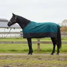  Ló Takaró Sötét Zöld és Fekete 85 cm Poliészter lófelszerelés