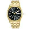  Lorus Classic RXN76DX9