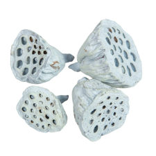  Lotus kicsi 4-6cm falfestékes vízkék 12db/csom dekorációs kellék