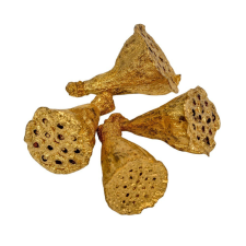  Lótus óarany mini 5dkg/csomag dekorációs kellék