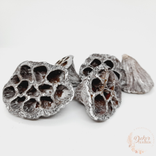  Lótusz - nagy - hamvas dekorációs kellék