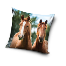 Lovas Lovas Harmony párnahuzat 40x40 cm lakástextília