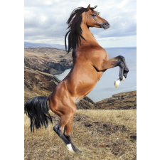 Lovas Wild Spirit A/4 gumis mappa mappa