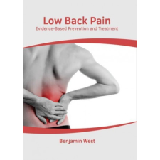  Low Back Pain: Evidence-Based Prevention and Treatment idegen nyelvű könyv