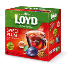 Loyd Tea Loyd piramis HOT szilva-füge-fahéj 40g tea