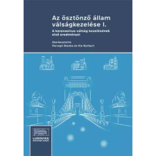 Ludovika Az ösztönző állam válságkezelése I. egyéb e-könyv