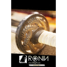M11 Studio Ronin: Two Souls (PC - Steam elektronikus játék licensz) videójáték