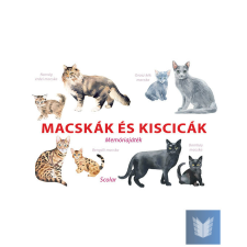  Macskák és kiscicák – Memóriajáték gyermek- és ifjúsági könyv