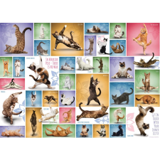 Macskás jóga puzzle 1000 darabos - EUROGRAPHICS puzzle, kirakós