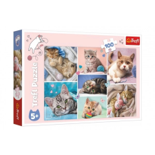 Macskavilág kirakós, 100 darabos puzzle, kirakós