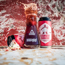  Mad Scientist x Overtone Brewing Co. Strawberry Cranachan 0,44l 8% sör