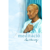 Madal Bal Kft. Meditáció - Az ember tökéletessége Isten elégedettségére - Sri Chinmoy