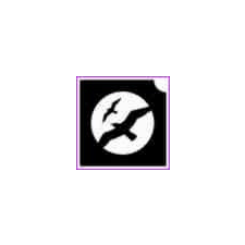  Madarak (csss0574) csillámtetoválás