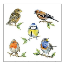 Madaras szalvéta - 25x25 cm - Bird Species papírárú, csomagoló és tárolóeszköz