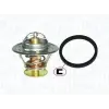 MAGNETI MARELLI termosztát, hűtőfolyadék 352317100390