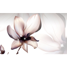 Magnólia virág tapéta, 350 x 200 cm tapéta, díszléc és más dekoráció