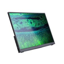 MAGUS MCD40 monitor