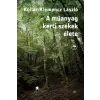 Magvető A műanyag kerti székek élete