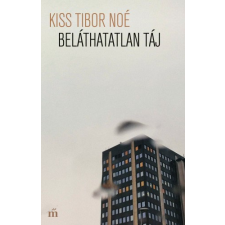 Magvető Beláthatatlan táj szépirodalom