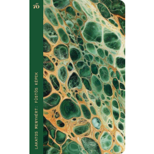 Magvető Kiadó Füstös képek regény