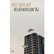 Magvető Könyvkiadó Beláthatatlan táj regény