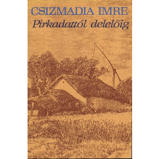 Magvető Könyvkiadó Pirkadattól delelőig antikvárium - használt könyv
