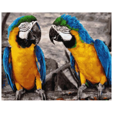 Makana Ara papagáj pár - Számfestő készlet, kerettel (40x50 cm) kreatív és készségfejlesztő