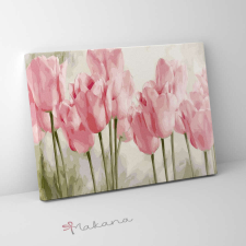 Makana Mályva tulipánok - Számfestő készlet, kerettel (40x50 cm) kreatív és készségfejlesztő