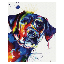 Makana Színes kutya - Számfestő készlet, kerettel (40x50 cm) kreatív és készségfejlesztő
