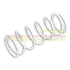 MALOSSI erősített kompressziós rugó Honda FORZA 300-hoz egyéb motorkerékpár alkatrész