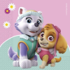 Mancs őrjárat Paw Patrol Skye and Everest, Mancs Őrjárat szalvéta 20 db-os