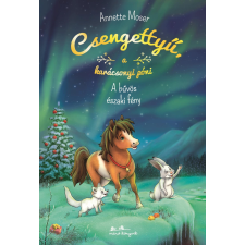 Manó Könyvek Csengettyű a karácsonyi póni 3. - a bűvös északi fény gyermek- és ifjúsági könyv