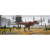 Mapcards.net s.r.o. Mapcards 3D vonalzó 14cm, Carnotaurus