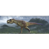 Mapcards.net s.r.o. Mapcards 3D vonalzó 14cm, T-Rex