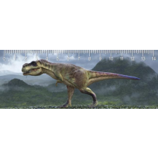 Mapcards.net s.r.o. Mapcards 3D vonalzó 14cm, T-Rex vonalzó