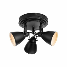 Markslojd Markslöjd FJÄLLBACKA Ceiling 3L Black IP44 világítás