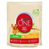 Mars-Nestlé Purina ONE Mini/Small Active - száraztáp (csirke,rizs) kistestű kutyák részére (800g)