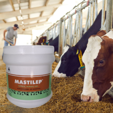 Mastilep tőgygyulladás (mastitis) elleni tőgygél 1 kg haszonállat felszerelés