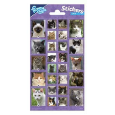  Matrica - Macskák matrica