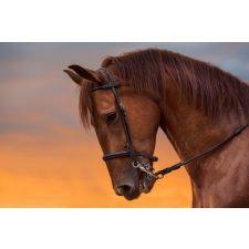  Matrica tapéta Animal47 Horse in twilight, 250 x 150 cm tapéta, díszléc és más dekoráció