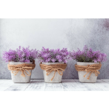  Matrica tapéta Flori71, 250 x 200 cm tapéta, díszléc és más dekoráció