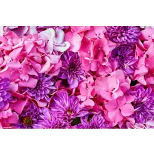  Matrica tapéta Flori96, 250 x 200 cm tapéta, díszléc és más dekoráció