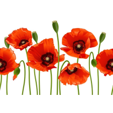  Matrica tapéta Flowers26, 200 x 150 cm tapéta, díszléc és más dekoráció