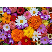  Matrica tapéta Flowers57, 250 x 150 cm tapéta, díszléc és más dekoráció