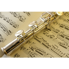  Matrica tapéta Fuvola, kotta, 270 x 200 cm tapéta, díszléc és más dekoráció